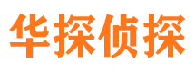 武功市调查公司